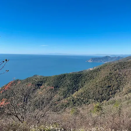 L'affittacamere Di Evy 3*