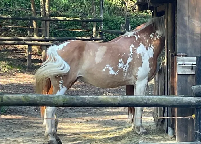 Evy's בית הארחה